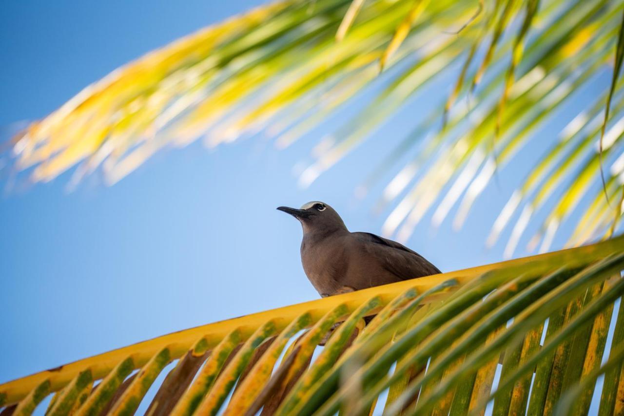 ホテル Denis Private Island Seychelles Denis Island エクステリア 写真