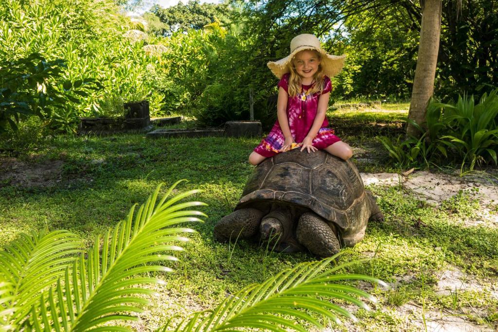 ホテル Denis Private Island Seychelles Denis Island エクステリア 写真