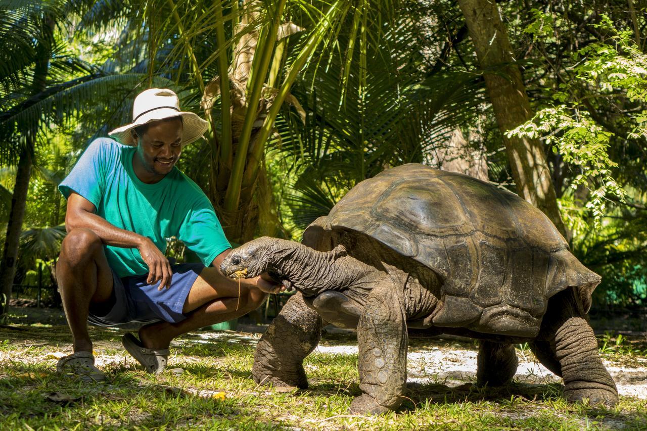 ホテル Denis Private Island Seychelles Denis Island エクステリア 写真